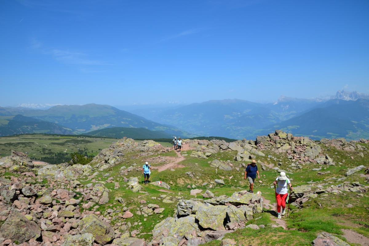 Platzer Alm 26.06.2019